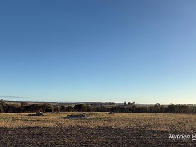 1368 Yilliminning Road, Boundain WA 6312