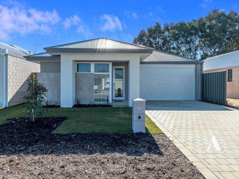 14 Chalmers  Avenue, Wellard WA 6170