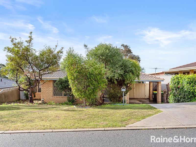 23 Floribunda Gardens, Mirrabooka WA 6061
