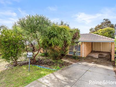 23 Floribunda Gardens, Mirrabooka WA 6061