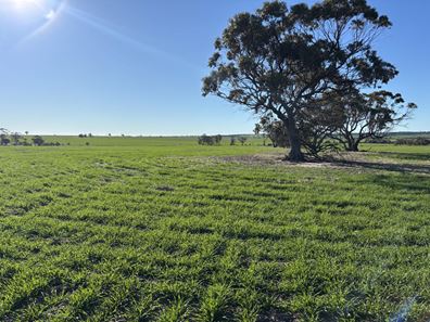 'Craigmile' Cubbine Road, Quairading WA 6383