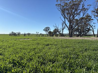 'Craigmile' Cubbine Road, Quairading WA 6383