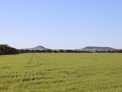 1742 Arthur Road, Moonyoonooka WA 6532