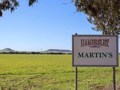1742 Arthur Road, Moonyoonooka WA 6532