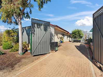 17 Bettong Street, Baldivis WA 6171