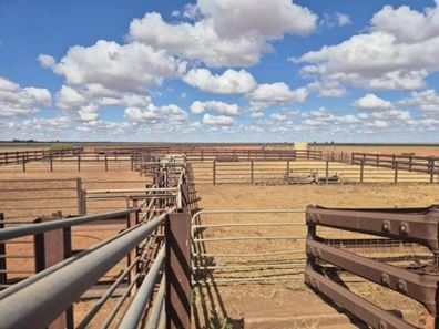 Port Hedland-Marble Bar Road, Port Hedland WA 6721