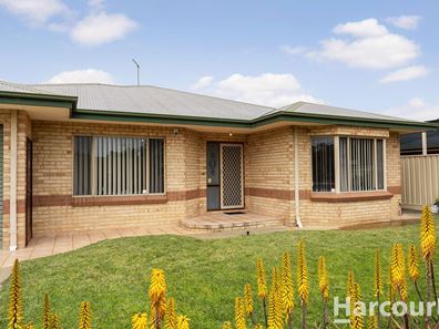23 Coodanup Drive, Dudley Park WA 6210