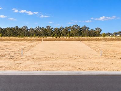 21 Boysenberry Street, Upper Swan WA 6069