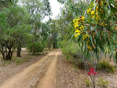 32 Ramsay Road, Stratham WA 6237