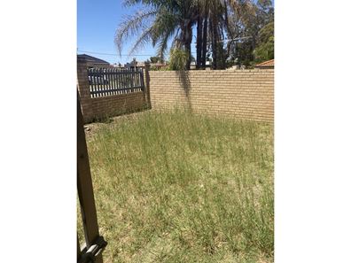 3/11 Harrison Street, Balcatta WA 6021