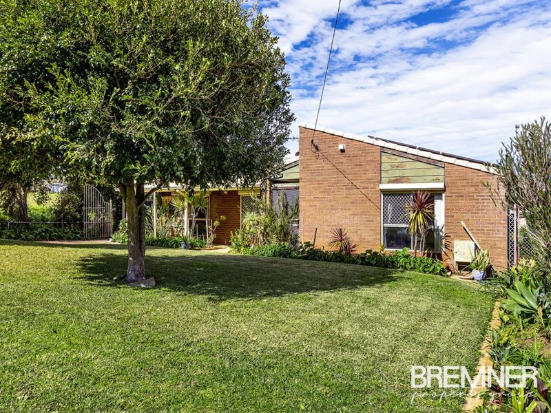 31 Mandfield Way, Parmelia