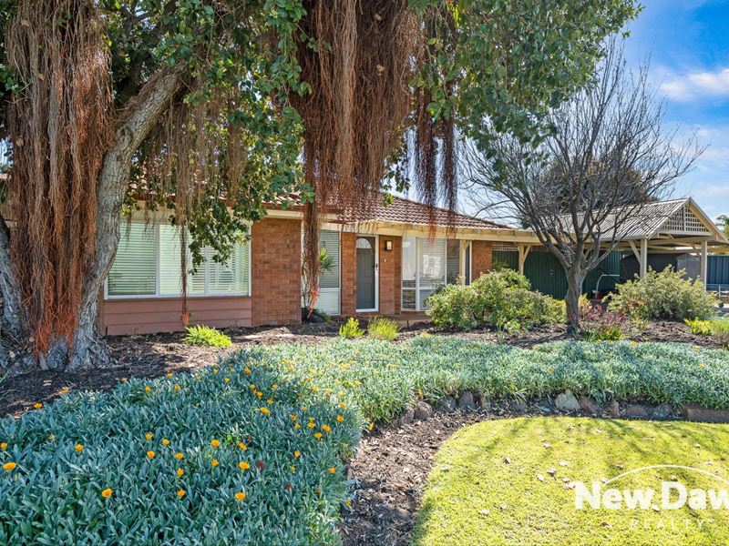 3 Haymarket Place, Alexander Heights