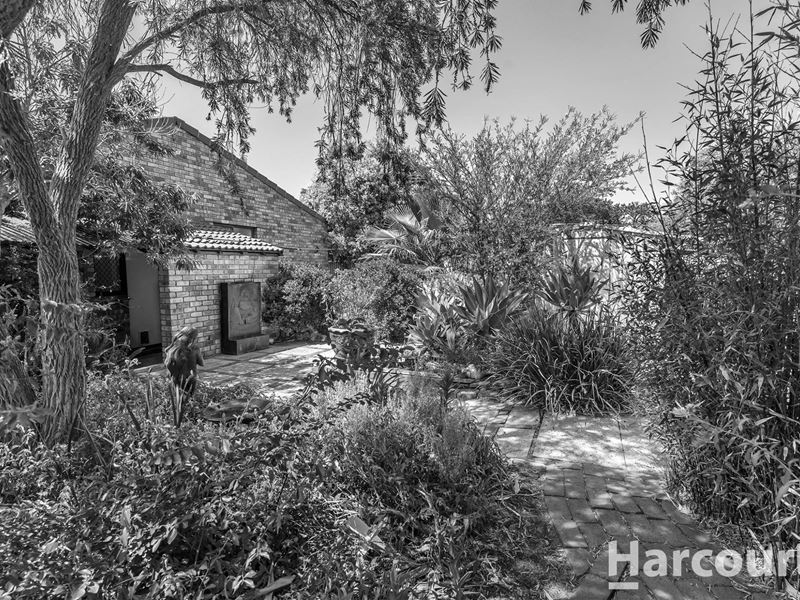 9 Amazon Drive, Greenfields