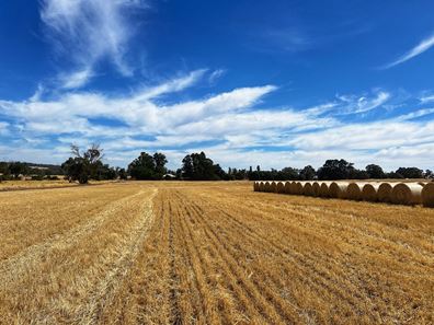 Darganullup 1431 Boyup Brook - Kojonup Road, Mayanup WA 6244