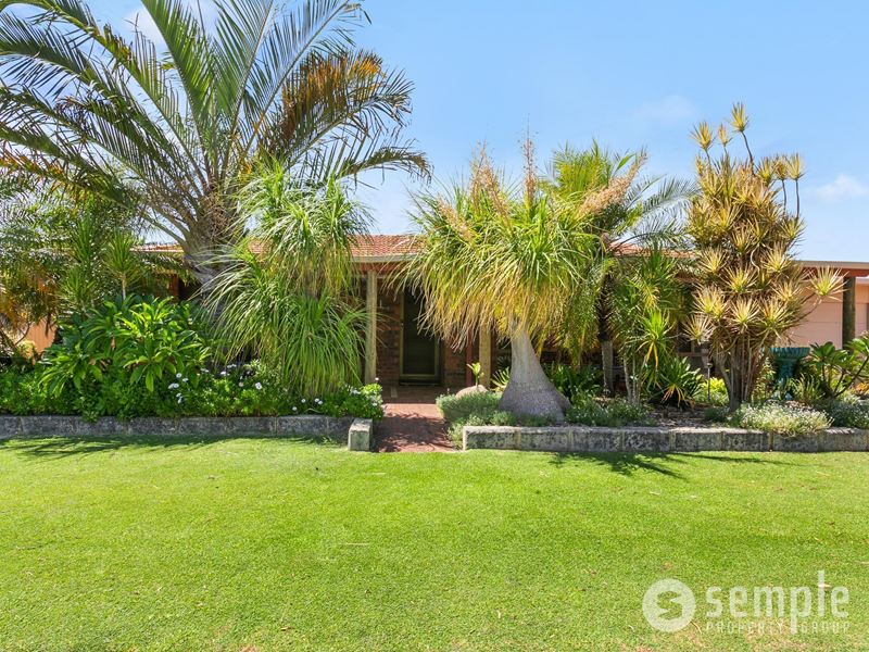 16 Homestead Avenue, Bibra Lake