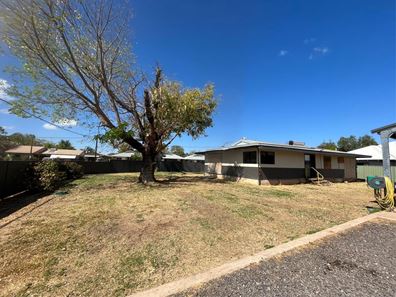 11 Greybox Cres, Kununurra WA 6743