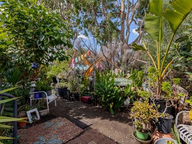 20A Frankel Street, Carey Park WA 6230