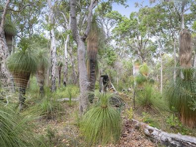 62 Sabina Drive, Molloy Island WA 6290