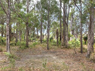 62 Sabina Drive, Molloy Island WA 6290