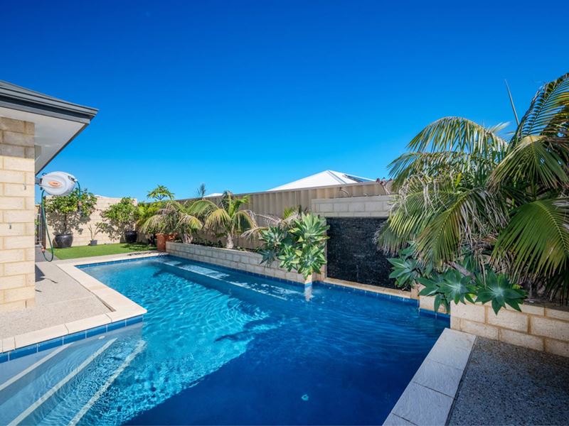 54 Hollington Boulevard, Butler WA 6036
