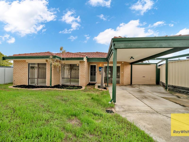 9 Pinetree Close, Alexander Heights WA 6064