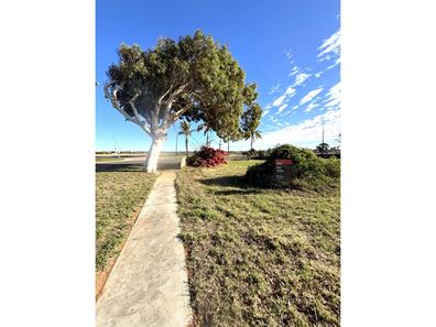 145 Olivia Terrace, South Carnarvon WA 6701