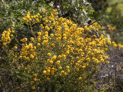 Lot 150 Jurien Bay Vista, Jurien Bay WA 6516