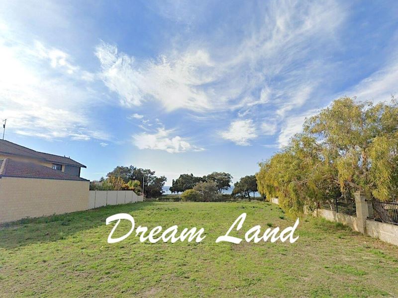 40 Governor Drive, Falcon WA 6210