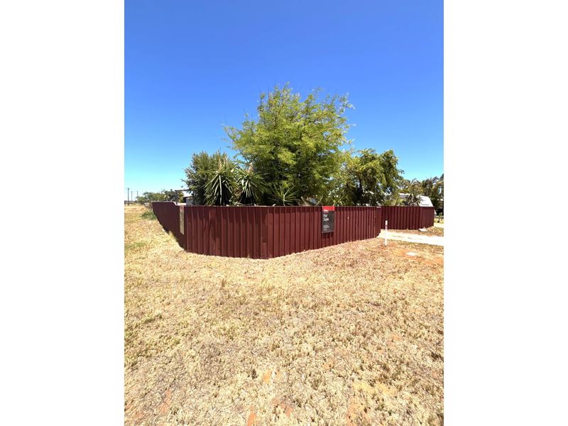 2 Illingworth Street, East Carnarvon WA 6701