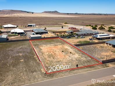 6 Lobelia Way, Moresby WA 6530