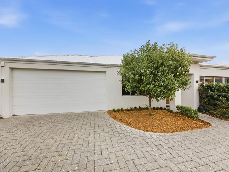 53B Darch Street, Yokine WA 6060