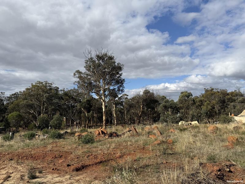 8 King Street, Darkan