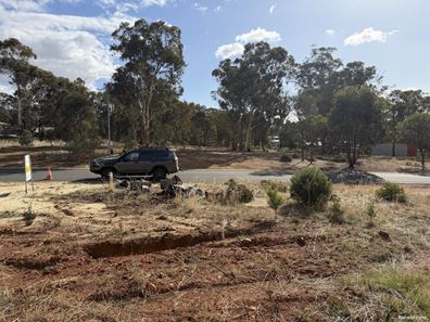 8 King Street, Darkan WA 6392