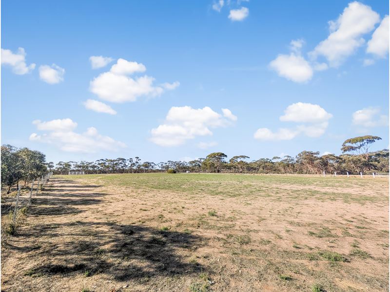 41 Maiolo Way, Merredin
