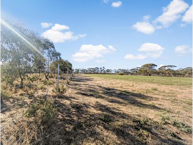 41 Maiolo Way, Merredin WA 6415