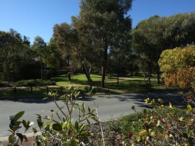 8 Somerford Promenade, Wellard WA 6170