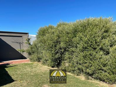 21B Mummery Cres, East Bunbury WA 6230