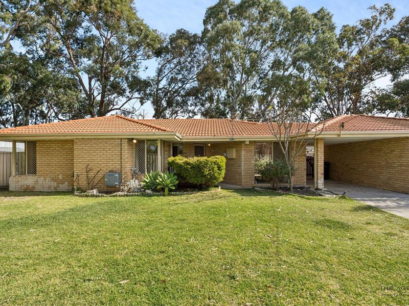 14B Yampi Court, Huntingdale WA 6110