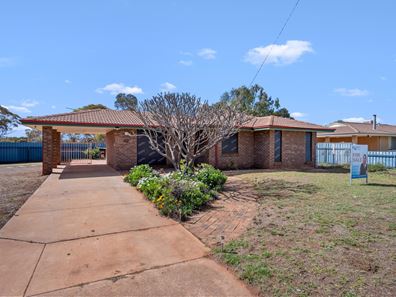 15 Flanagan Parade, Hannans WA 6430