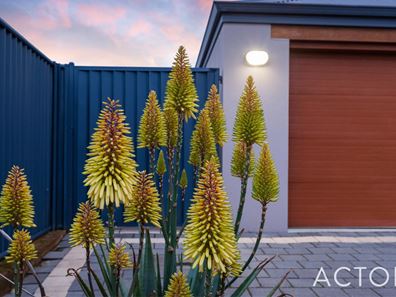 16 Silverpan Way, Byford WA 6122