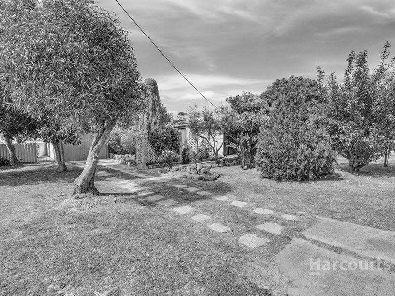2 Littleton Street, Falcon