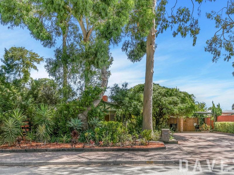 7 Lemongrass Terrace, Ballajura