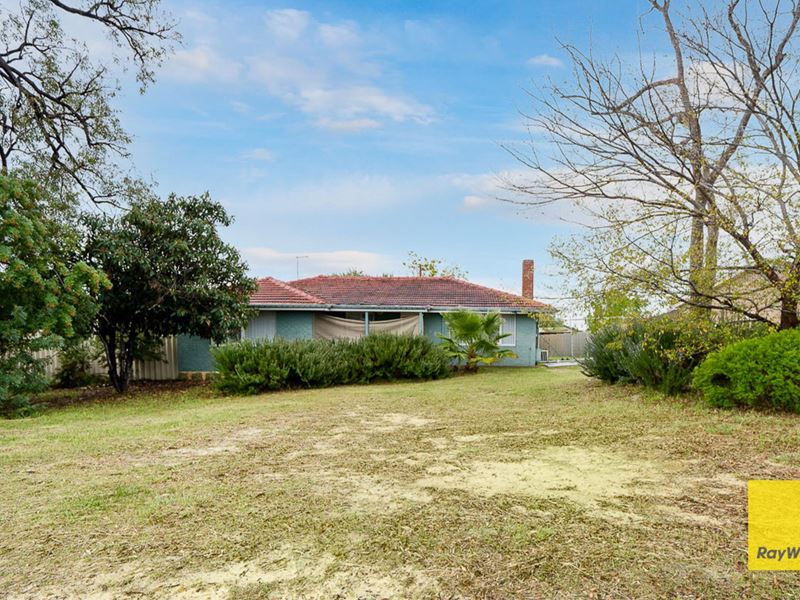 59 Dallington Crescent, Balga WA 6061