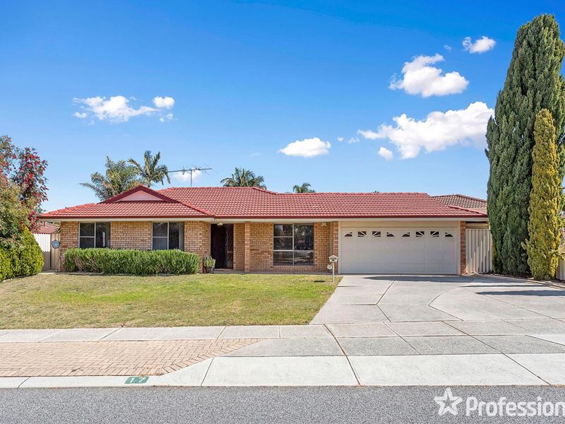 17 Adaia Drive, Alexander Heights