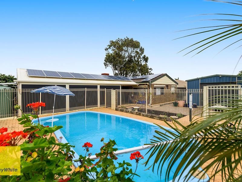 16 Bougainvillea Ave, Forrestfield
