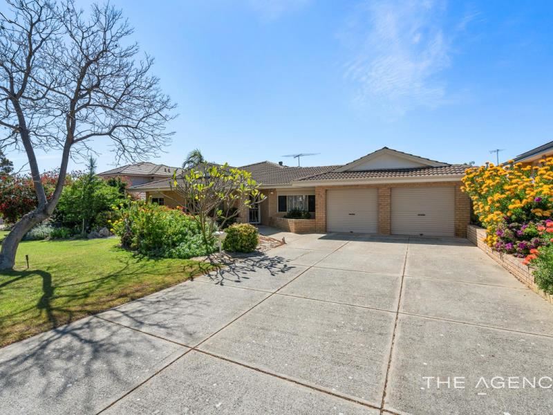 87 Le Souef Drive, Kardinya WA 6163