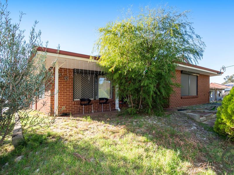 10 Jubilee Drive, Pinjarra WA 6208