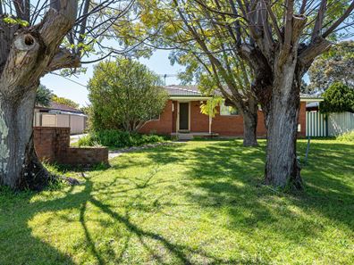 10 Colleen Street, Gosnells WA 6110