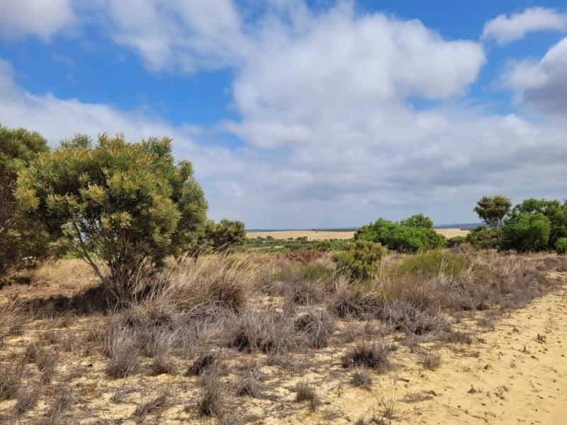 Lot 231 Bottlebrush Road, Nilgen WA 6044