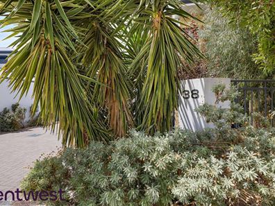 7/38 Orpington Street, Cloverdale WA 6105